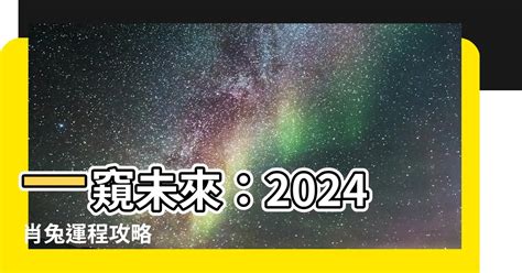 2024 肖兔